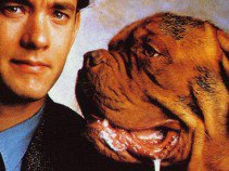 Híres kutyák a filmtörténetben - Fesztelen mindennapok -  - állatok, filmtörténet, kutya, 