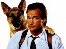 Híres kutyák a filmtörténetben - Fesztelen mindennapok -  - állatok, filmtörténet, kutya, 