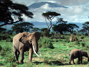 Tanzánia - Afrika érdekessége - Utazás -  - afrika, Dar es Salaam, Gombe Nemzeti Park, Kilimandzsáró Nemzeti Park, Kilimanjaro, Meru, muszlim, Serengeti Nemzeti Park, szuahéli, Tanzánia, utazás, 