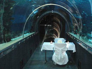 Egyedi ajándékok a Meglepkék csapatától -  -  - ajándékok, extrém ajándék, Meglepkék, romantikus ajándék, vicces ajándék, 