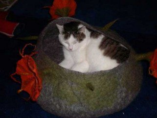 Cica chillout-zugok - Otthon & Design -  - chillout, Cica, fekhely, lakberendezés, macska, 