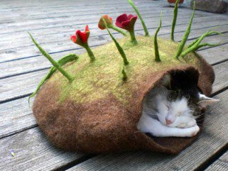 Cica chillout-zugok - Otthon & Design -  - chillout, Cica, fekhely, lakberendezés, macska, 