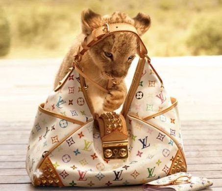 Louis Vuitton táskák Hemingway-jel, oroszlánkölyökkel - Hírek  -  - Hemingway, Louis Vuitton, oroszlánkölyök, táska, táskák, Vuitton, 