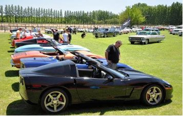 Cadillac Ranch Lajosmizsén -  -  - 2010, autó, cadillac, Lajosmizse, 