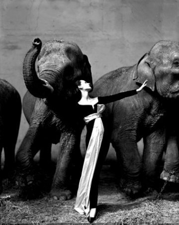 Richard Avedon képei aukcióra kerülnek - Fesztelen mindennapok -  - 2010, árverés, fotográfia, Richard Avedon, 