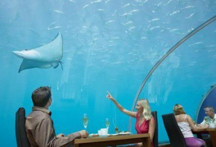 A világ egyetlen tengeralatti étterme - Otthon & Design -  - Hilton, Maldív-szigetek, utazás, 