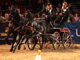 OTP Lovas Világkupa 2011 - Fesztelen mindennapok -  - lovaglás, sport, világkupa, 