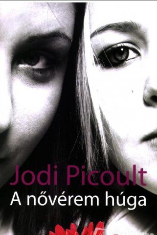 Jó téma, érdekes olvasmány: A nővérem húga - Fesztelen mindennapok -  - A nővérem húga, Jodi Picoult, könnyű, könyv, 