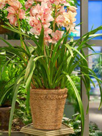 Lekötelezve - STYLENEWS - Otthon & Design - barkácsolás, design, hajókötél, kötél, ötlet, 