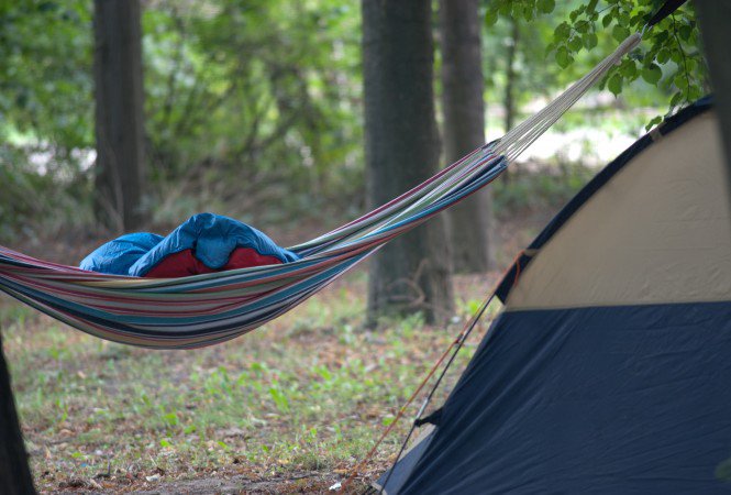 A szívünkbe sírták magukat -  -  - Sziget 2012., 