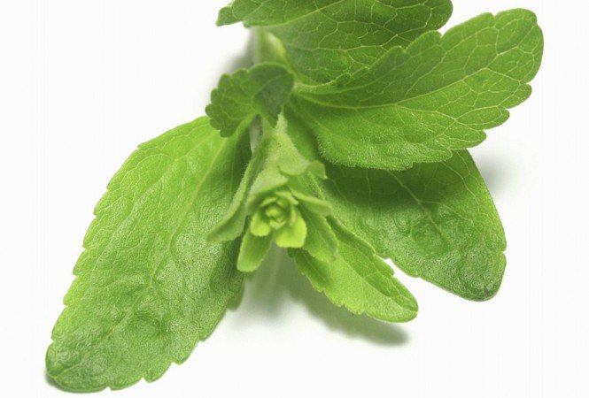 Természetes édesítők - KERESD A NŐT  -  - agavészirup, diéta, sztívia, xilit, 