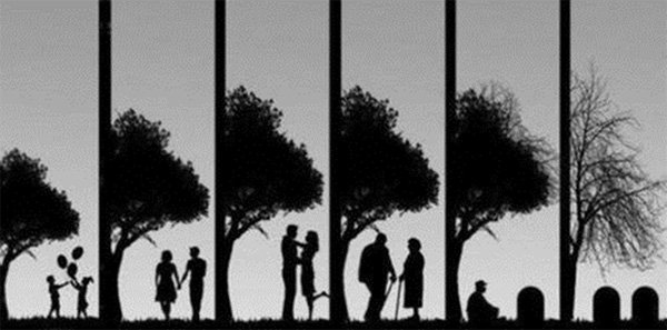 Vigyázz! Törékeny! -  -  - 