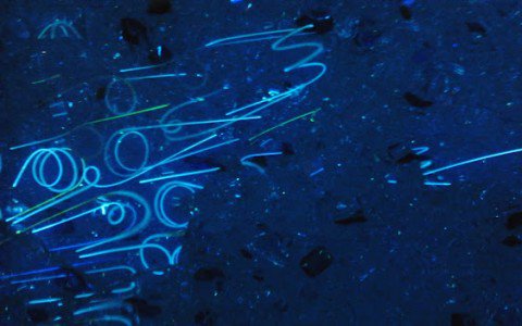 Higgy az álmélkodás pillanataiban! - STYLENEWS - Otthon & Design - +++dr%C3%A1gak%C5%91, ++swarovski, +krist%C3%A1ly, csillog%C3%A1s, 