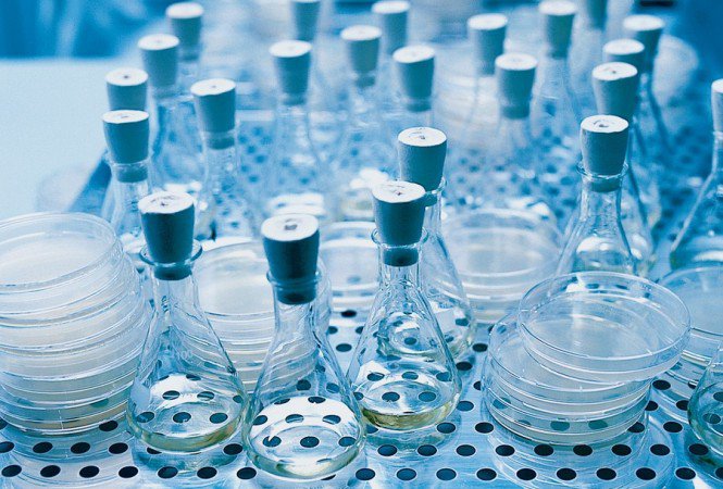 Éld túl a nyaralást! - Utazás -  - +++leletek, +++napoz%C3%A1s, ++utaz%C3%A1s, +kullancs, laborat%C3%B3riumi+vizsg%C3%A1lat, 