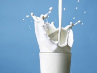 A folyékony arany -  -  - +++k%C3%A9z%C3%A1pol%C3%A1s, ++tej, +m%C3%A9z, antibiotikum, 