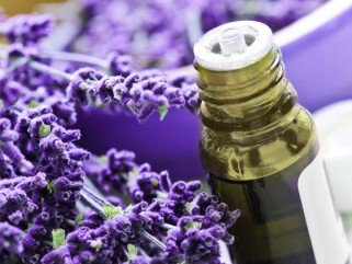 Irány a boszorkánykonyha! -  -  - +++nap%C3%A9g%C3%A9s, ++wellness, +ill%C3%B3olajok, k%C3%A9nyeztet%C3%A9s, 