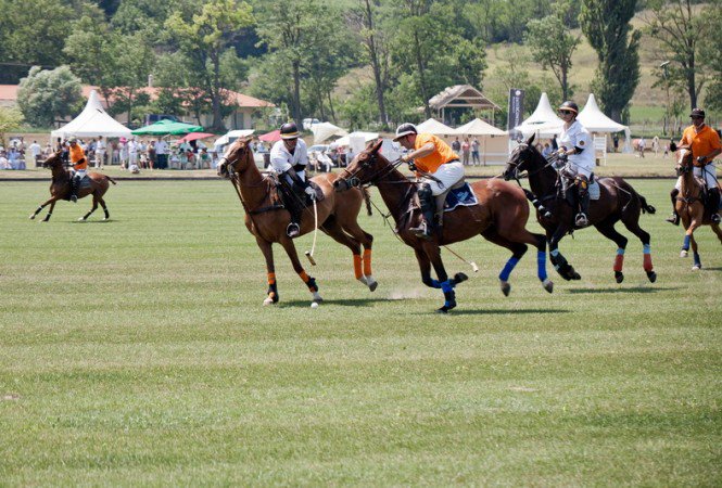 Célba lovagolt a jaguár -  -  - +lovasp%C3%B3l%C3%B3, kalap, 