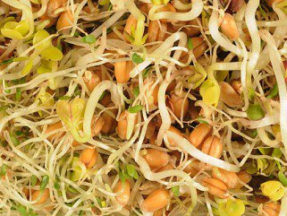 Három egyszerű recept a rák ellen -  -  - +++c%C3%A9kla, +++eg%C3%A9szs%C3%A9ges+t%C3%A1pl%C3%A1lkoz%C3%A1s, +++lekv%C3%A1r, +++recept, +++sal%C3%A1ta, +++sejtv%C3%A9d%C5%91, ++b%C3%BAzacs%C3%ADraolaj, +s%C3%A1rgar%C3%A9pa, antioxid%C3%A1ns, 