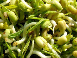 Három egyszerű recept a rák ellen -  -  - +++c%C3%A9kla, +++eg%C3%A9szs%C3%A9ges+t%C3%A1pl%C3%A1lkoz%C3%A1s, +++lekv%C3%A1r, +++recept, +++sal%C3%A1ta, +++sejtv%C3%A9d%C5%91, ++b%C3%BAzacs%C3%ADraolaj, +s%C3%A1rgar%C3%A9pa, antioxid%C3%A1ns, 