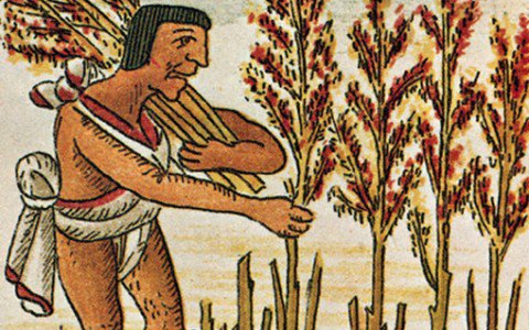 Gabona, ami nem hízlal - KERESD A NŐT  -  - 