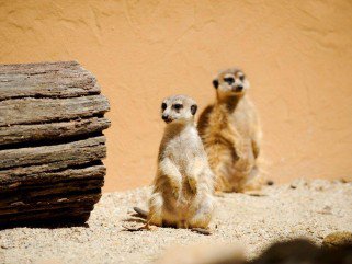 Színes programkavalkád a Bambara Hotelben -  -  - +programaj%C3%A1nlat, +utaz%C3%A1s, Hotel+Bambara, 