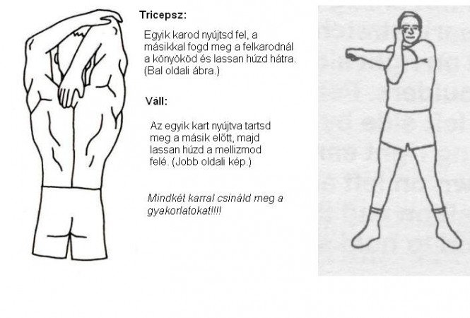 Nincs edzés nyújtás nélkül - Egészség -  - ++++h%C3%A1t, ++++l%C3%A1b, ++++mell, ++++ny%C3%BAjt%C3%A1s, ++++tricepsz, ++++v%C3%A1ll, +++streching, ++bicepsz, +comb, fitness, 