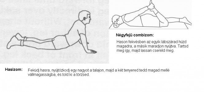 Nincs edzés nyújtás nélkül - Egészség -  - ++++h%C3%A1t, ++++l%C3%A1b, ++++mell, ++++ny%C3%BAjt%C3%A1s, ++++tricepsz, ++++v%C3%A1ll, +++streching, ++bicepsz, +comb, fitness, 