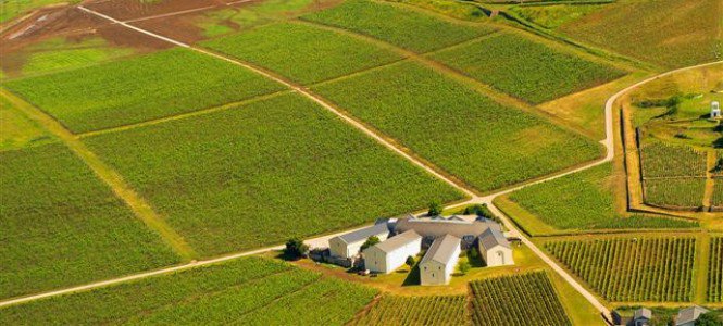 Az ősz legnagyobb bulija - Fesztelen mindennapok -  - +++++++Szeksz%C3%A1rd, +++++++Szigliget, ++++++sz%C5%91l%C5%91, +++++sz%C3%BCret, ++++bort%C3%BAra, +++Baja, ++fesztiv%C3%A1l, +Gy%C3%B6ngy%C3%B6s, Pannonhalma, 