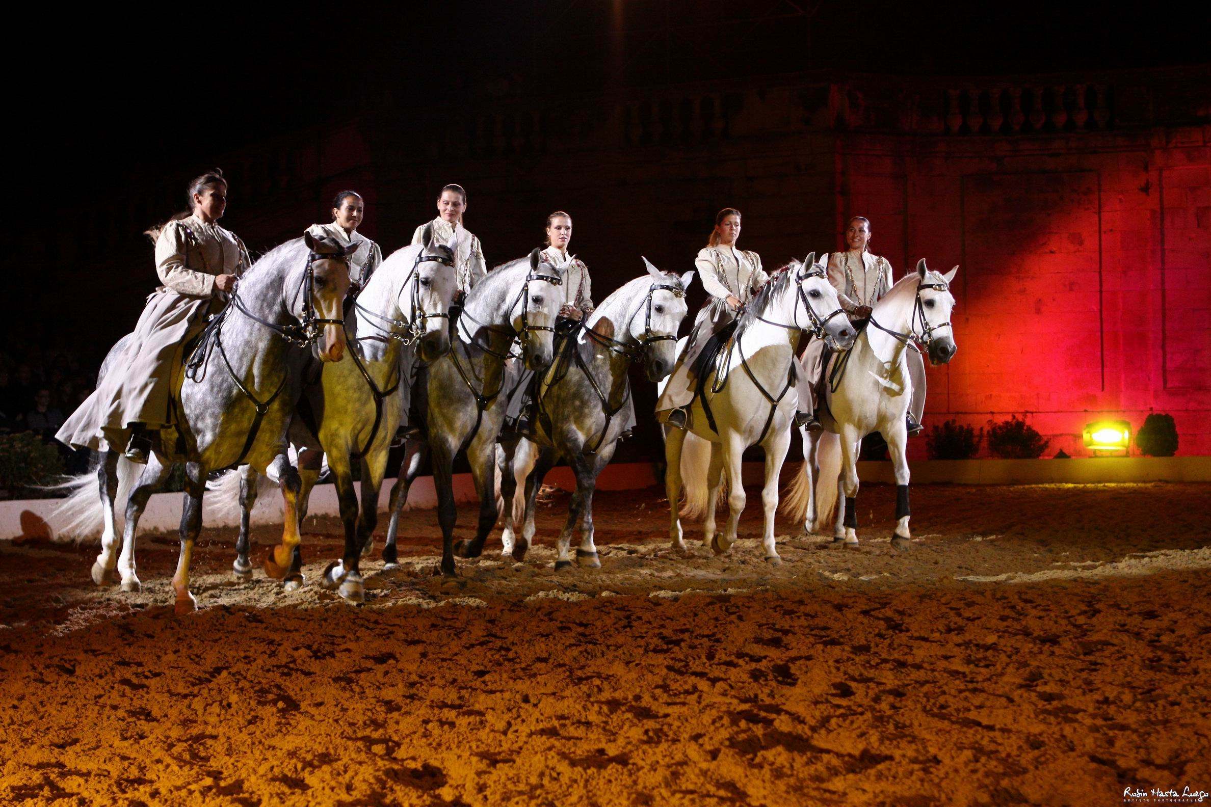 A spanyol lovasiskola mágikus ereje - STYLELIFE - Fesztelen mindennapok - Cavalero, 