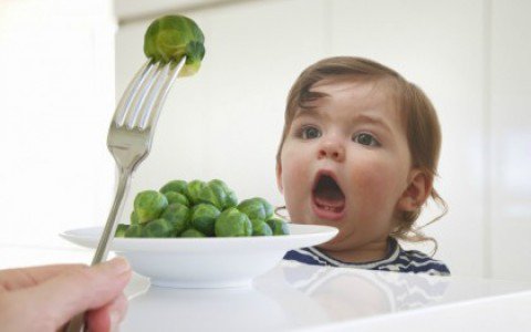 Válogat a gyerek? Erre tuti ráharap! - Stylekids -  - %C3%B3voda, +++++%C3%B3vodai+%C3%A9tkez%C3%A9s, +++++finny%C3%A1s, +++++kreat%C3%ADv+%C3%A9telek, ++++gyerek+%C3%A9tkez%C3%A9si+gondok, ++++v%C3%A1logat%C3%B3s+gyerek, 