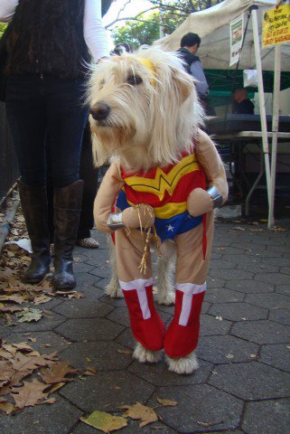 A legszuperebb Halloween partyk és jelmezötletek - DIVAT&STÍLUS - STYLELIFE - %C3%A1larc, ++++++be%C3%B6lt%C3%B6z%C5%91s+buli, ++++++Heidi+Klum, ++++++jelmez, ++++++maskara, ++++++party, ++++++r%C3%A9ms%C3%A9gek, +++++Halloween, 