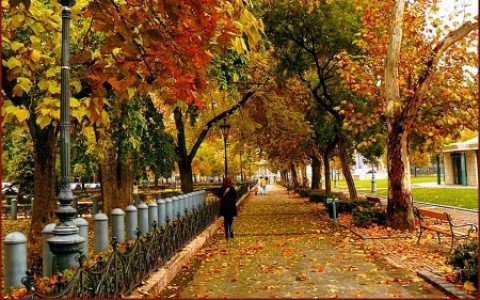 Boldogsághormonok nyomában - Egészség -  - +++++szeretet, ++++boldogs%C3%A1g, ++++rossz+id%C5%91, ++++tippek, +++feel+good, ++november, +K%C3%A9t+pasi+meg+egy+kicsi, +s%C3%A9ta, seg%C3%ADts%C3%A9g, 