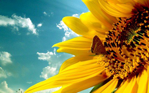 Boldogsághormonok nyomában - Egészség -  - +++++szeretet, ++++boldogs%C3%A1g, ++++rossz+id%C5%91, ++++tippek, +++feel+good, ++november, +K%C3%A9t+pasi+meg+egy+kicsi, +s%C3%A9ta, seg%C3%ADts%C3%A9g, 