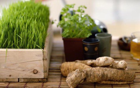 Illatos otthon, otthonos illat - STYLENEWS -  - aromaterápia, csináld magad, diy, dohányszag ellen, illatosító, karácsonyi illatok, otthoni aroma, 