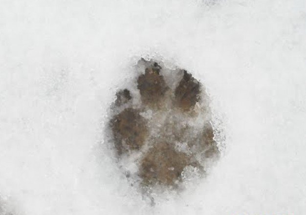 A hatodik érzék - STYLELIFE -  - Budapest, Budapesti történetek, 