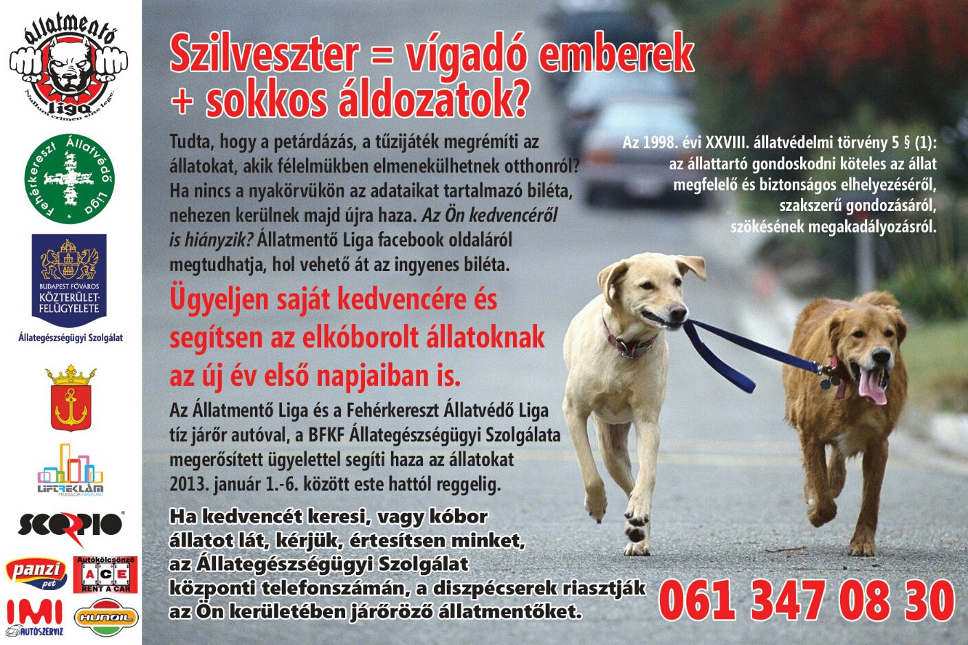 Állatmentés felsőfokon - STYLELIFE - Interjúk - állatmentés, Állatmentő Liga, állatmentők, 