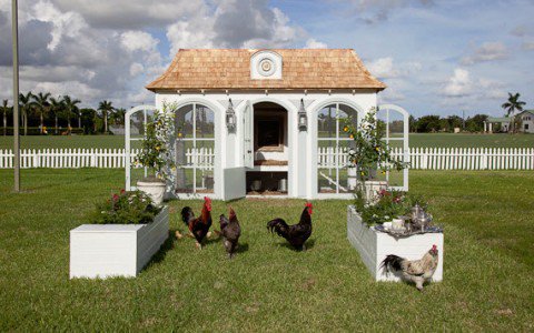 Luxust a kisállatoknak - STYLELIFE -  - állat luxus, Hello Kitty, kutyaház, kutyaruha, luxus kutyaház, 