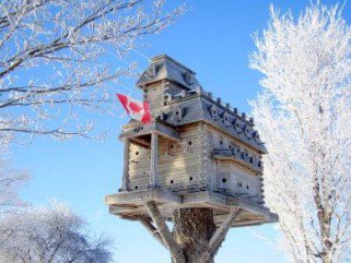 Luxust a kisállatoknak - STYLELIFE -  - állat luxus, Hello Kitty, kutyaház, kutyaruha, luxus kutyaház, 