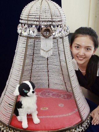 Luxust a kisállatoknak - STYLELIFE -  - állat luxus, Hello Kitty, kutyaház, kutyaruha, luxus kutyaház, 