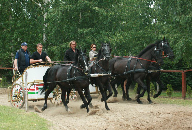 Keresztes Ildikó megtalálta új szerelmét - Fesztelen mindennapok -  - fogatvágta, Keresztes Ildikó, nemzeti vágta, 