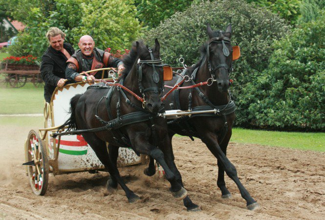 Keresztes Ildikó megtalálta új szerelmét - Fesztelen mindennapok -  - fogatvágta, Keresztes Ildikó, nemzeti vágta, 