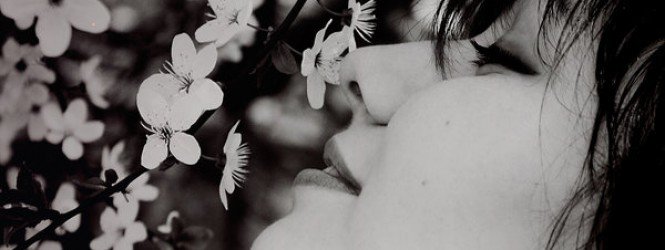 Parfüm újdonságok 2013-ra - SZÉPSÉG - Illatok - Dolce %26 gabbana the one desire, gucci guilty, illat, Jimmy Choo, Jimmy Choo flash, parfüm, új parfüm 2013, 