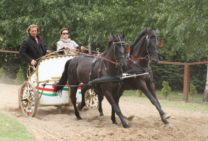 Keresztes Ildikó megtalálta új szerelmét - Fesztelen mindennapok -  - fogatvágta, Keresztes Ildikó, nemzeti vágta, 