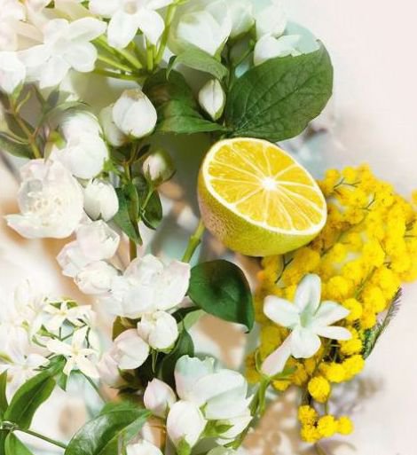 Tiszta ragyogás - Illatok -  - eau de toilette, női illat, parfüm, Valentina, 