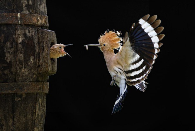 Életed fotói kocsmázni mentek - Fesztelen mindennapok -  - Fogasház, fotókiállítás, fotópályázat, 