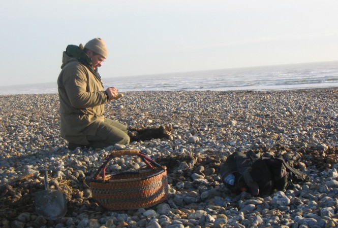 Steiner Kristóf túlélte -  -  - Anna and the Barbies, steiner kristóf, 