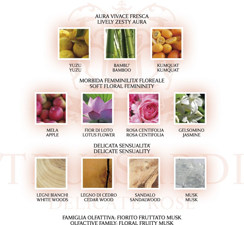 Egy törékeny rózsa - SZÉPSÉG - Illatok - trussardi, trussardi parfüm, 