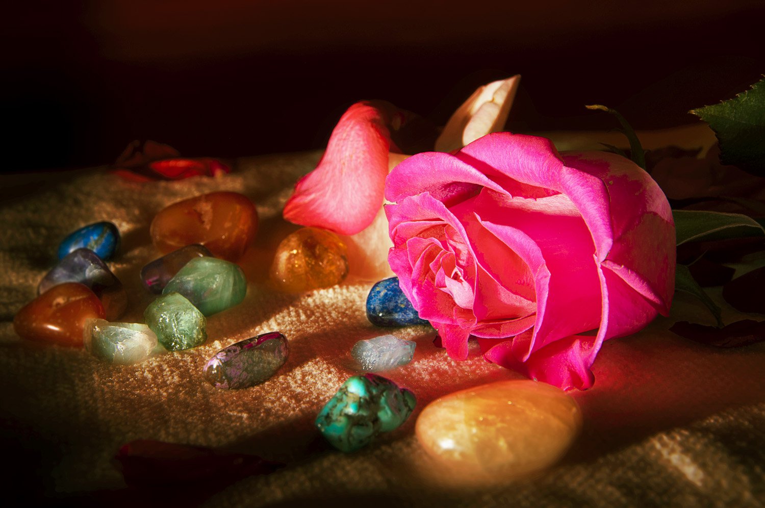 Vénuszi Rózsa masszázs, Nőnapra Szeretettel! - KERESD A NŐT  - Lélekhangok - masszázs, nőnap, vénusz rózsa, 