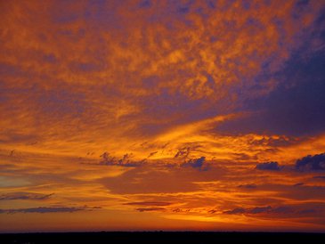 Szállj el kismadár! - KERESD A NŐT  -  - bódi lászló, cipő, 