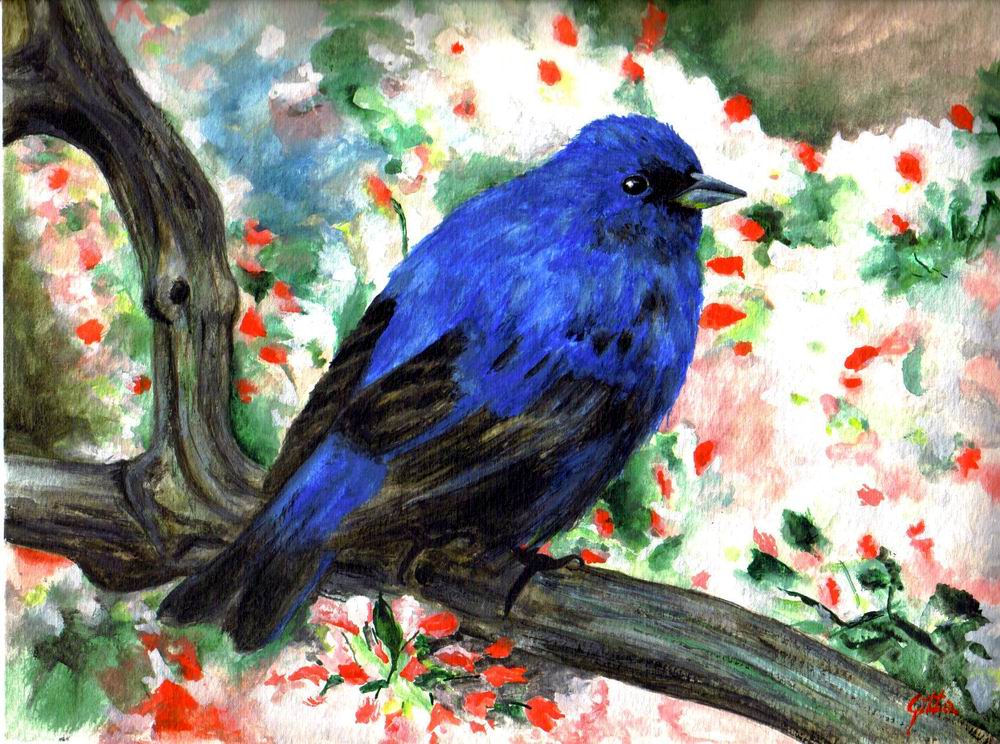 A boldogság napja, avagy hol lakik a kék madár? - STYLELIFE -  - boldogság napja, ensz, kék madár, 